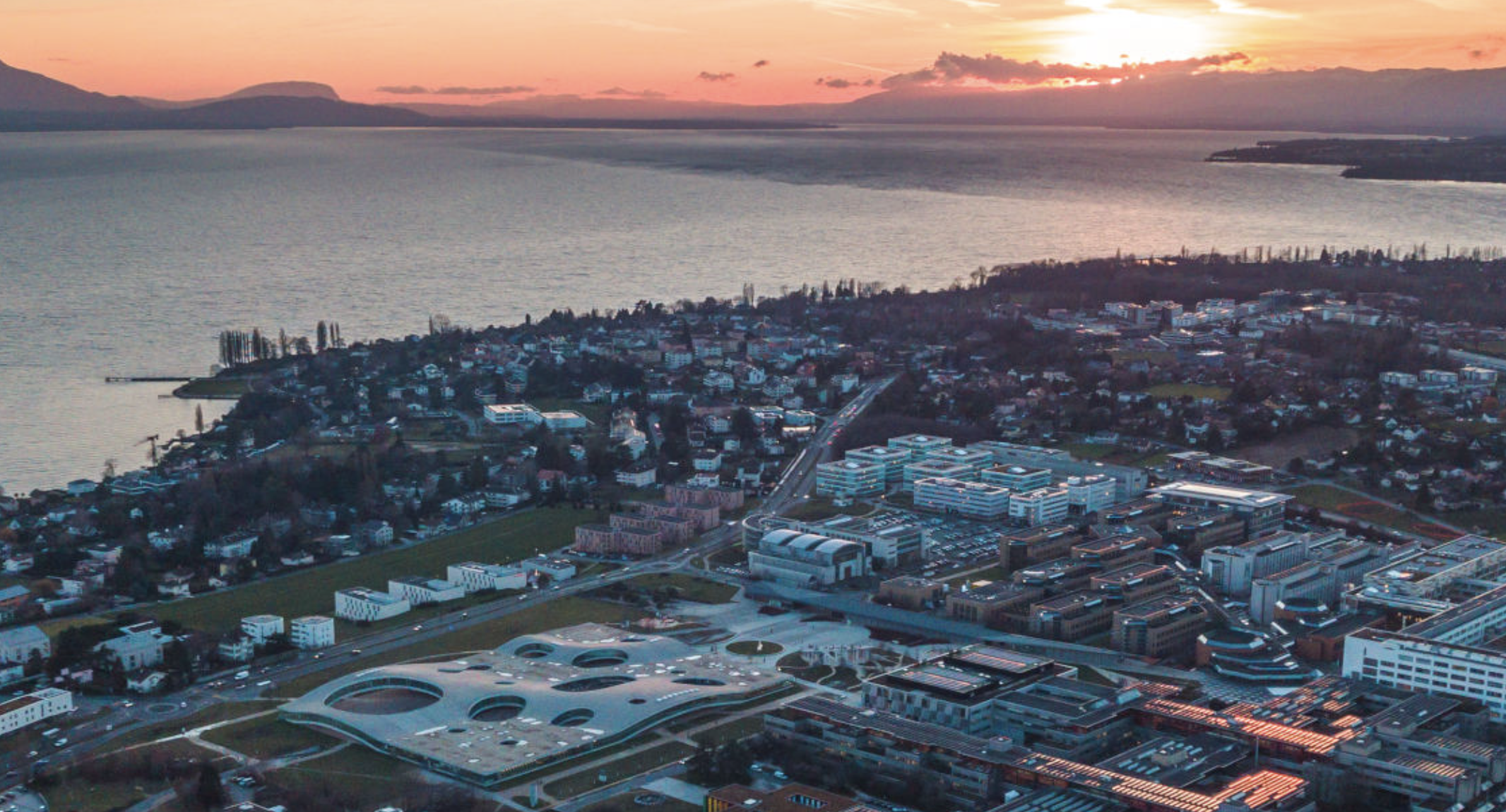 Summer Research Institute 2025