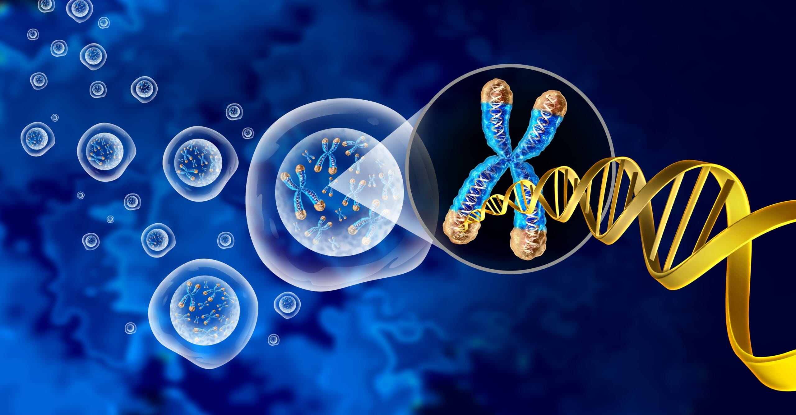 SF-GWAS, un outil pour s’entraîner sur des génomes en toute sécurité